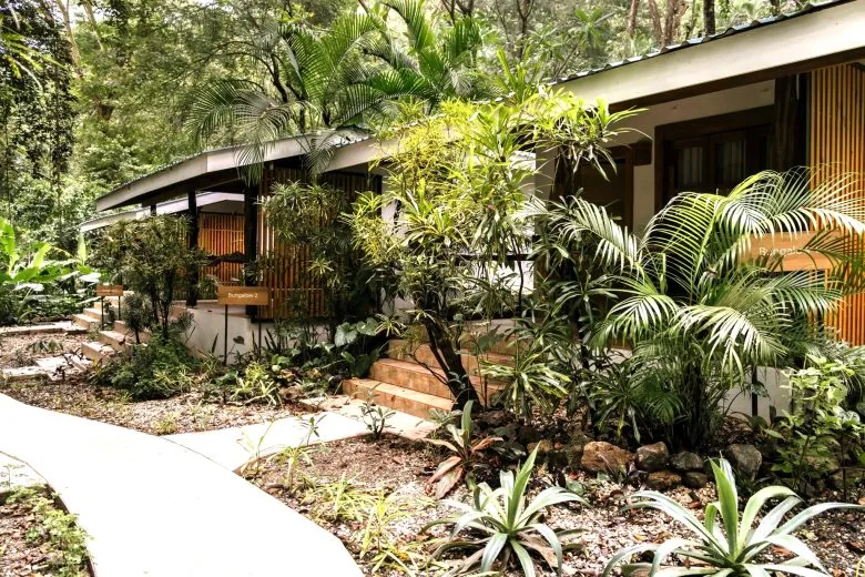 Tropical grounds at Makanas Beach Bungalows in Santa Teresa, Costa Rica